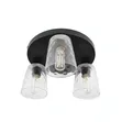 3-Head Ceiling Light - Black Base with Clear Glass - 3