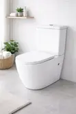 Shel Back-to-Wall Water Closet Suite - 1