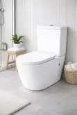 Shel Back-to-Wall Water Closet Suite - 2