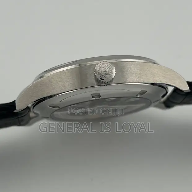 IWC Schaffhausen Portugieser Automatic 40 Silver Watch - 1