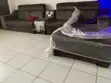 Quality Sofa with Integrated Bluetooth Speaker - 2
