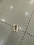 Heavy Duty Construction Formwork Clips - 2