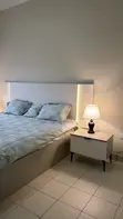 Furnished 2-Bedroom Apartment for Rent in Airport Residential - 4