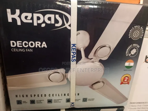 Kepas Decorative Ceiling Fan - 1