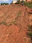Two Plots of Land for Sale, Packye No Two - 5