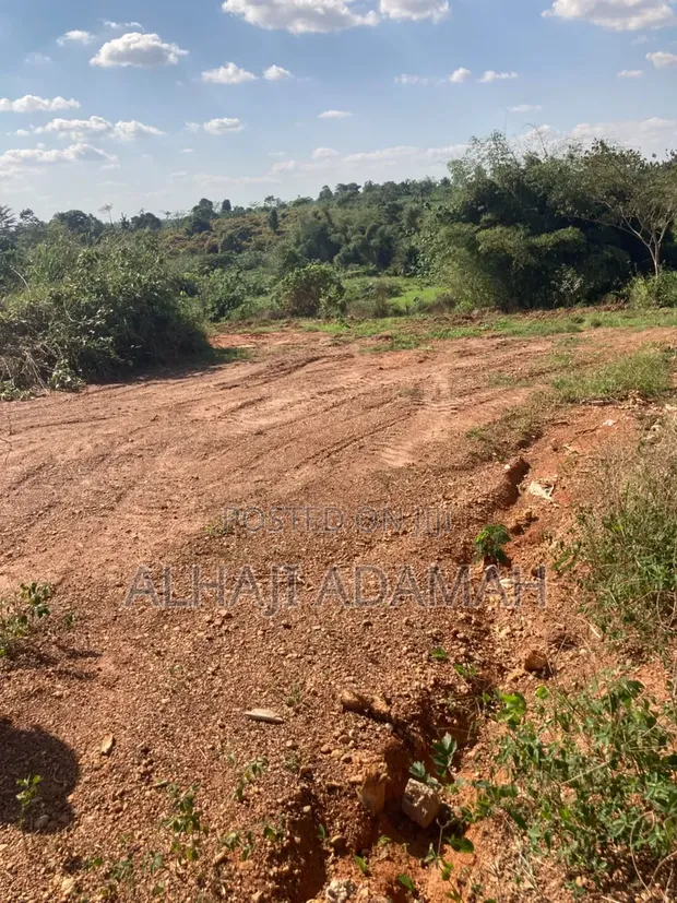 Full Plot of Land at Packye No Two - 1