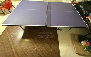 Complete Table Tennis Set