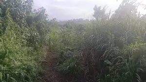Residential Land for Sale in Gomoa Oguaakrom