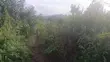 Residential Land for Sale in Gomoa Oguaakrom - 1