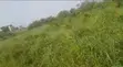 Residential Land for Sale in Gomoa Oguaakrom - 2