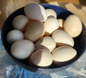Local Organic Chicken Eggs
