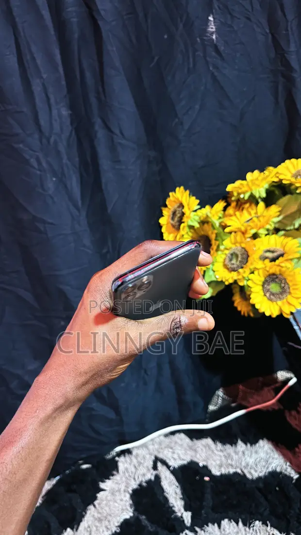 Apple iPhone 11 Pro Max 256GB Black - 1