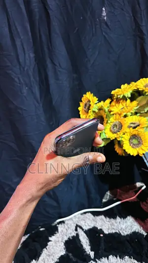 Apple iPhone 11 Pro Max 256GB Black