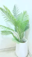 Flower and Flower Pot - 2