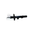 Honda Odyssey 2018-2024 Front Shocks - 1