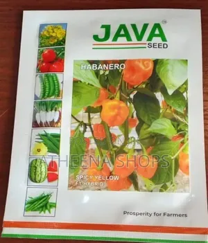 Habanero Yellow Seeds (Super Hot, 50g)