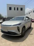 New Dongfeng Rich 2025 Gray - 1