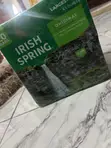 Irish Spring Original Soap - 20 Pack - 1