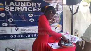 Cleantex Laundry and Dry Cleaning Services