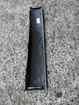 Acura RDX 2023 Door Moulding - 1