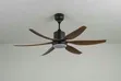 Luxury Wooden Ceiling Fan - Brand New - 2
