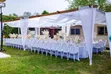 Sugar Flower Haven: Luxury Event Decor & Organization - 3