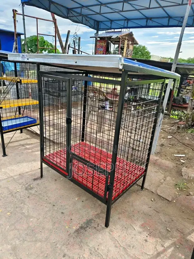 Foldable Metal Dog Cages - Various Sizes - 1