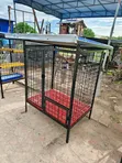 Foldable Metal Dog Cages - Various Sizes - 1