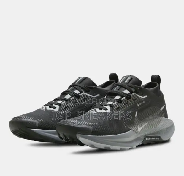 Nike Pegasus Trail 5 GORE-TEX - 1