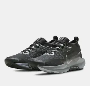 Nike Pegasus Trail 5 GORE-TEX