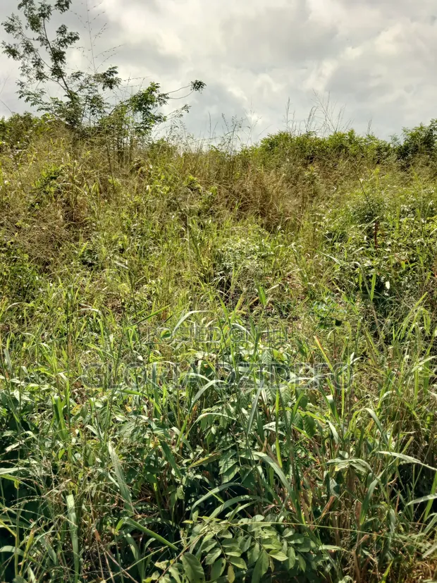 Land for Sale in Ho Kpenoe - 1