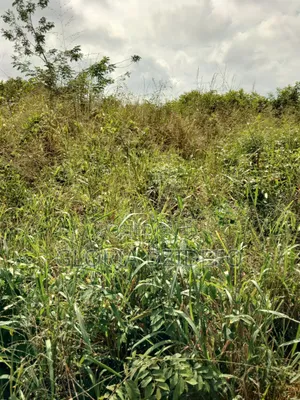 Land for Sale in Ho Kpenoe