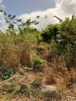 Land for Sale in Ho Kpenoe - 2