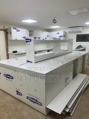 Standard Laboratory Cabinet