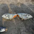 Toyota Matrix 2005 Headlight Pair - 3