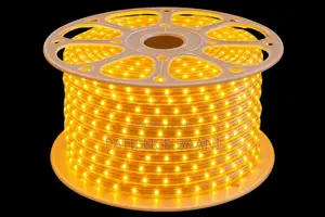100m LED Rope Light - Warm Golden Yellow