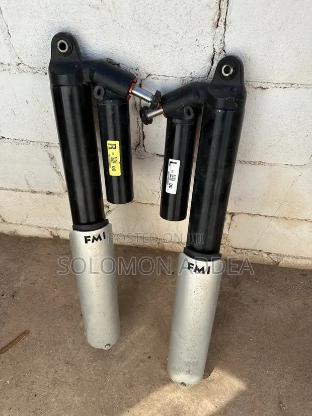 Ford F-150 Raptor Rear Air Struts (2020-2023) - 1