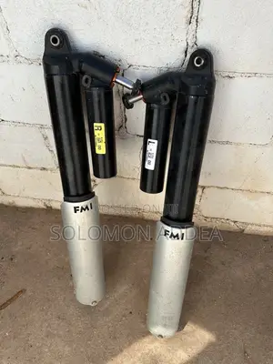 Ford F-150 Raptor Rear Air Struts (2020-2023)