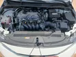 Toyota Corolla LE 2021 White - 1