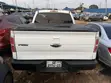 Ford F-150 Limited 2013 White - 1