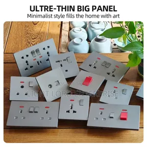 Minimalist Grey Double Socket with Switches