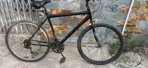 Mountain Bike - Repaired and Sprayed