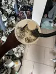 Toyota Yaris Home Used Fuel Pump - 2