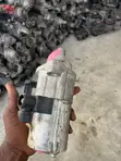 Honda Accord Starter - 4