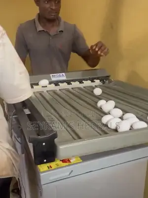 Used Egg Sorter