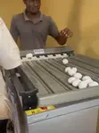 Used Egg Sorter - 1