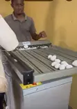 Used Egg Sorter - 2