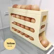 Automatic Rolling 4-Floor Egg Dispenser - 2