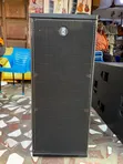 RCF 12-inch Line Array Speakers (2x12-inch) - 2