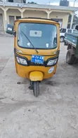 TVS Pargya 2024 - Yellow - 1